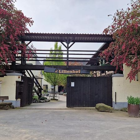 Schoene Wohnung Kleiner Onkel Auf Idyllischem Reiterhof Nahe Burg Eltz Münstermaifeld Eksteriør billede