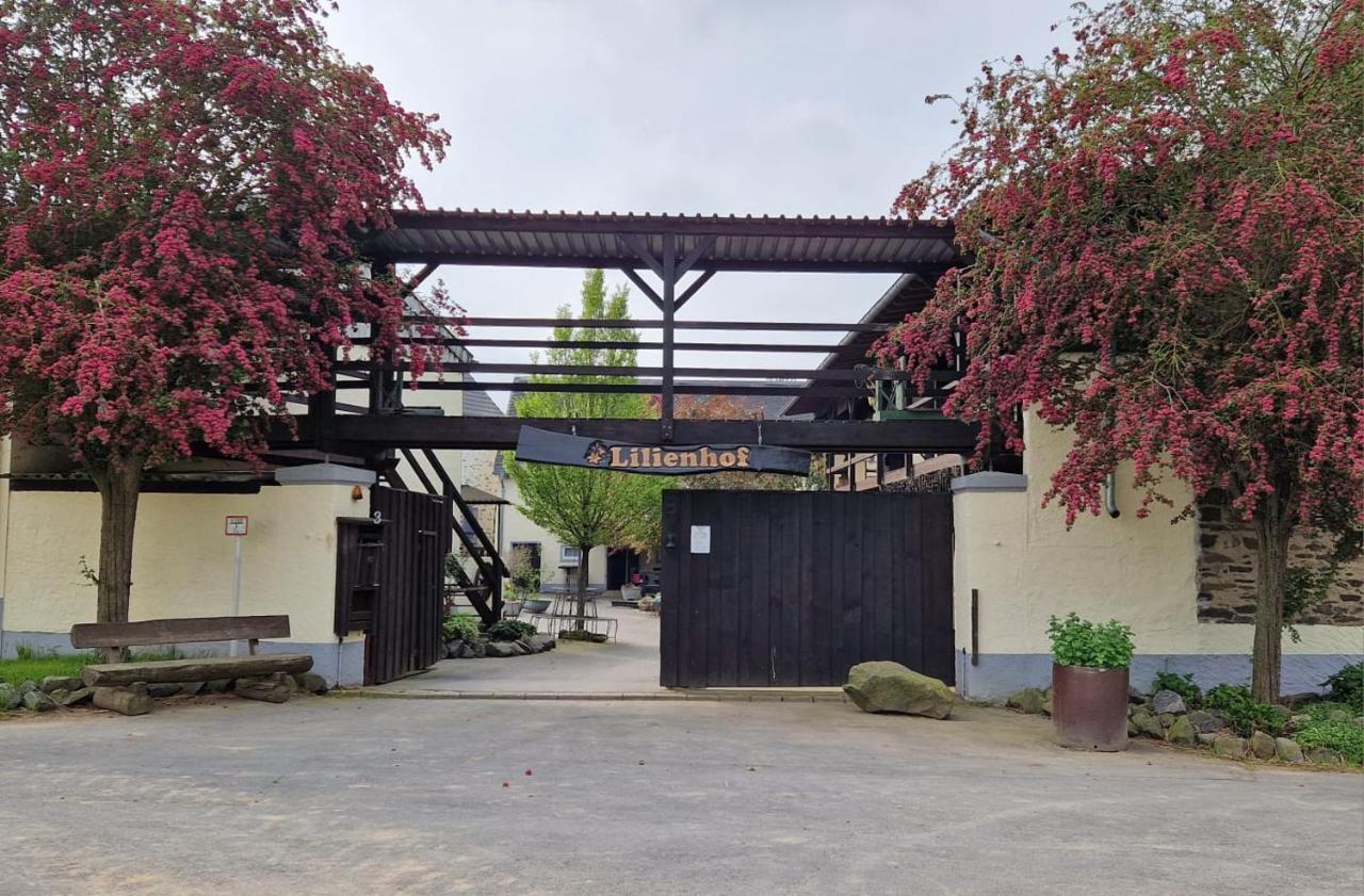 Schoene Wohnung Kleiner Onkel Auf Idyllischem Reiterhof Nahe Burg Eltz Münstermaifeld Eksteriør billede